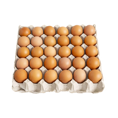 Fresh Eggs Medium Tray 30s