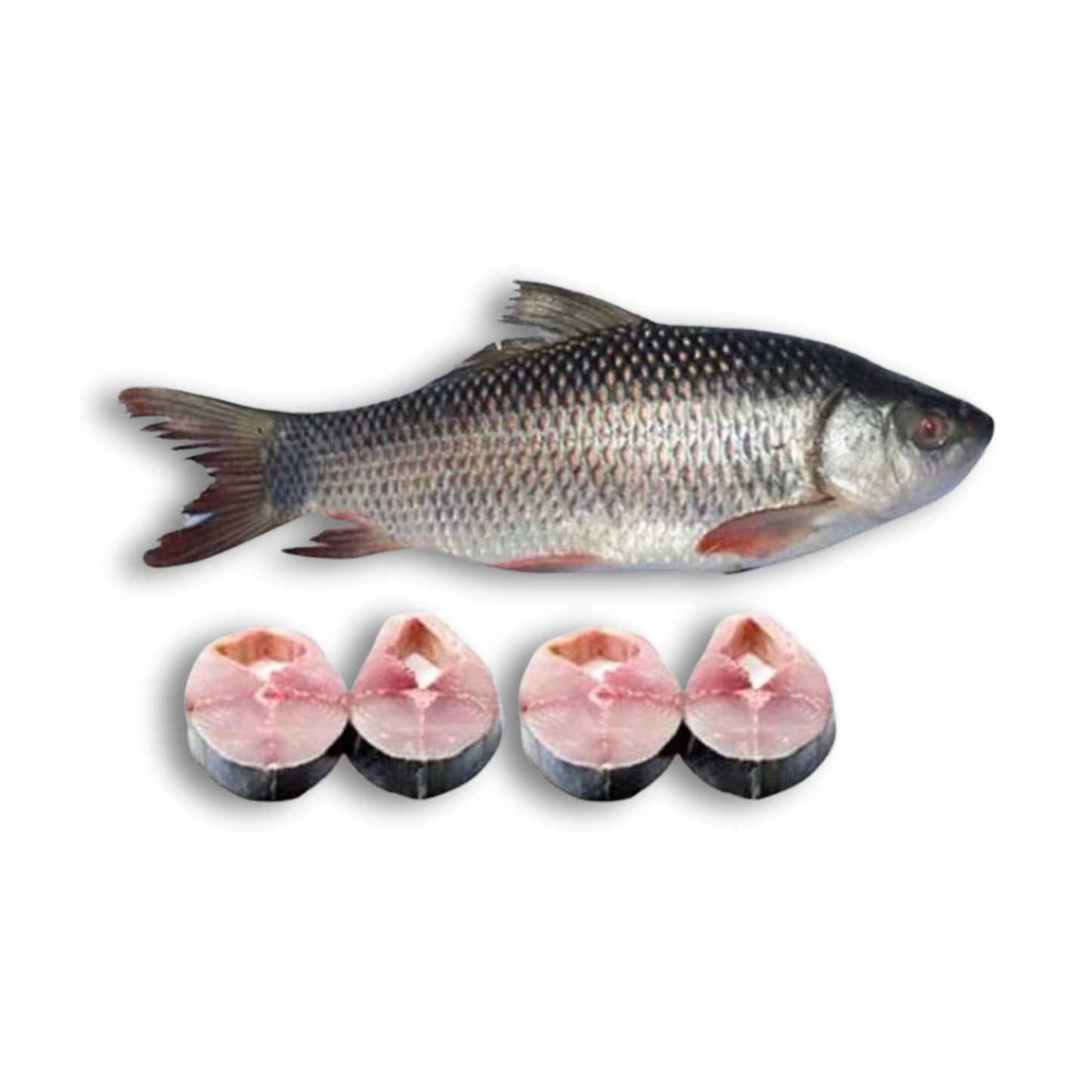 CF Rohu Burmese 4kg