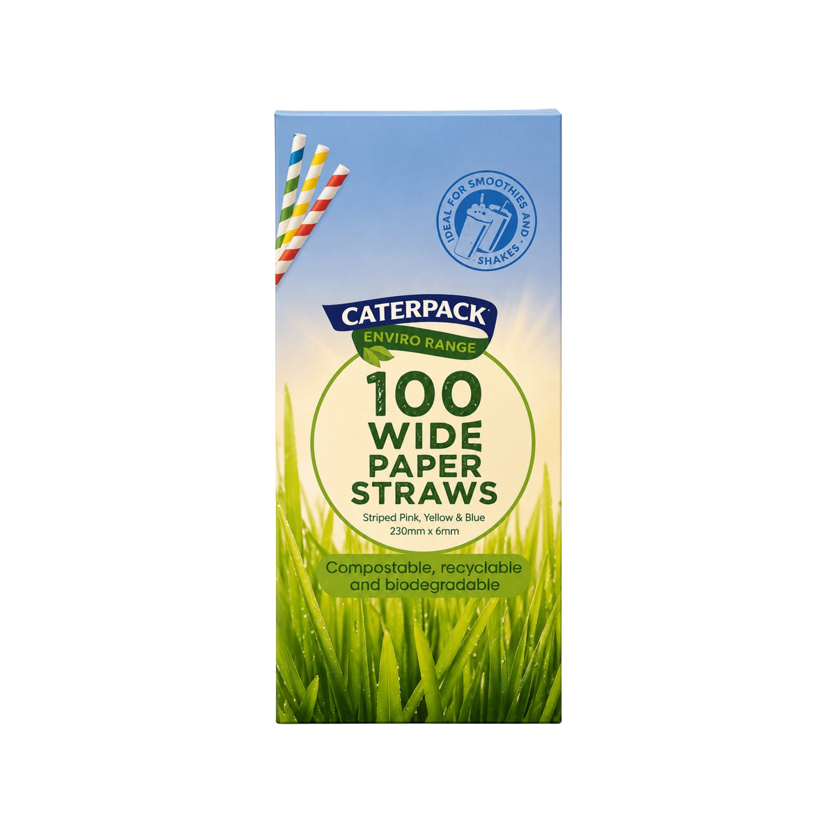 Caterpack Striped 100 Paper Straws 100s