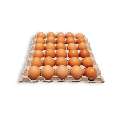 Fresh Eggs Medium Tray 30s