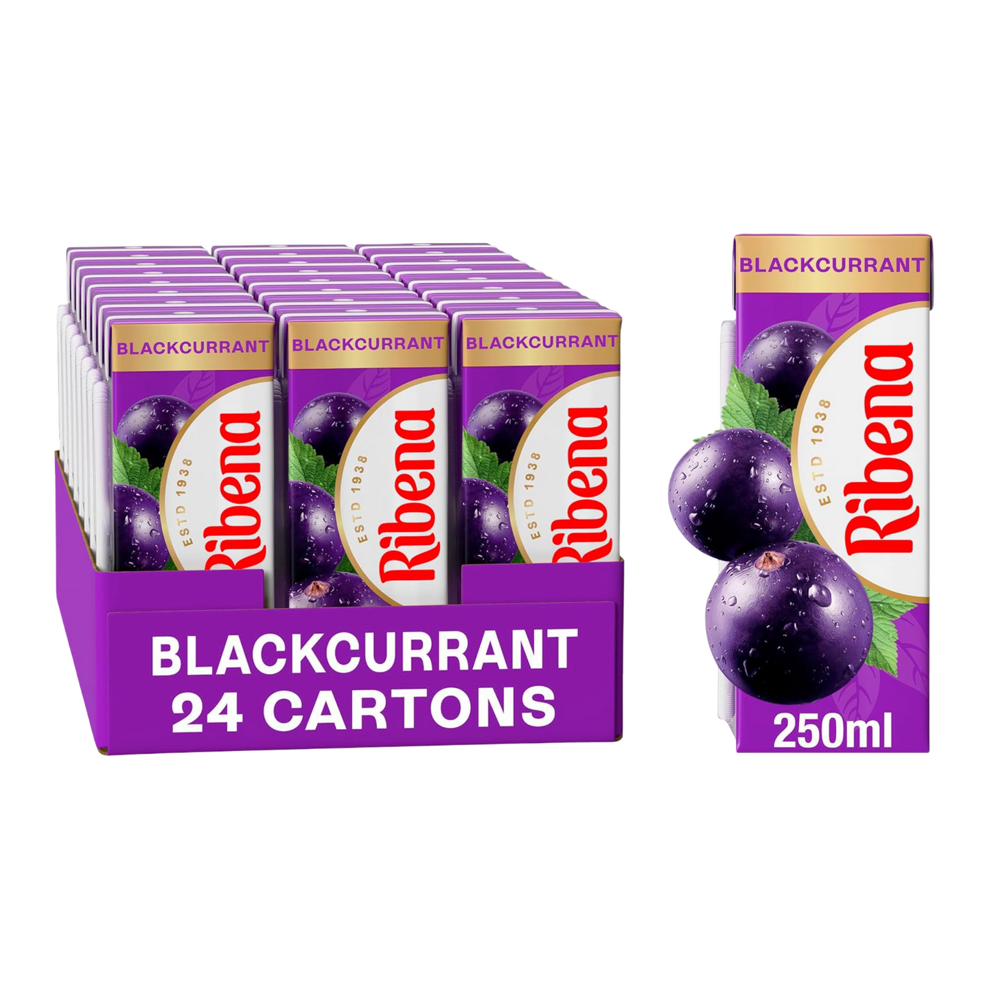 Ribena Blackcurrant (Carton) 24×250ml
