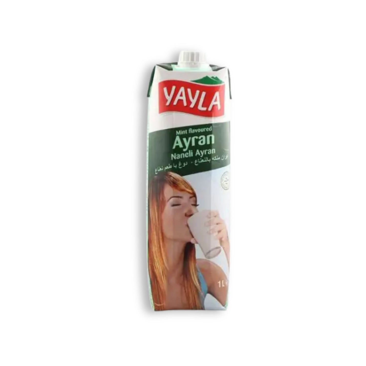 Yayla Ayran Tetra Mint 1ltr