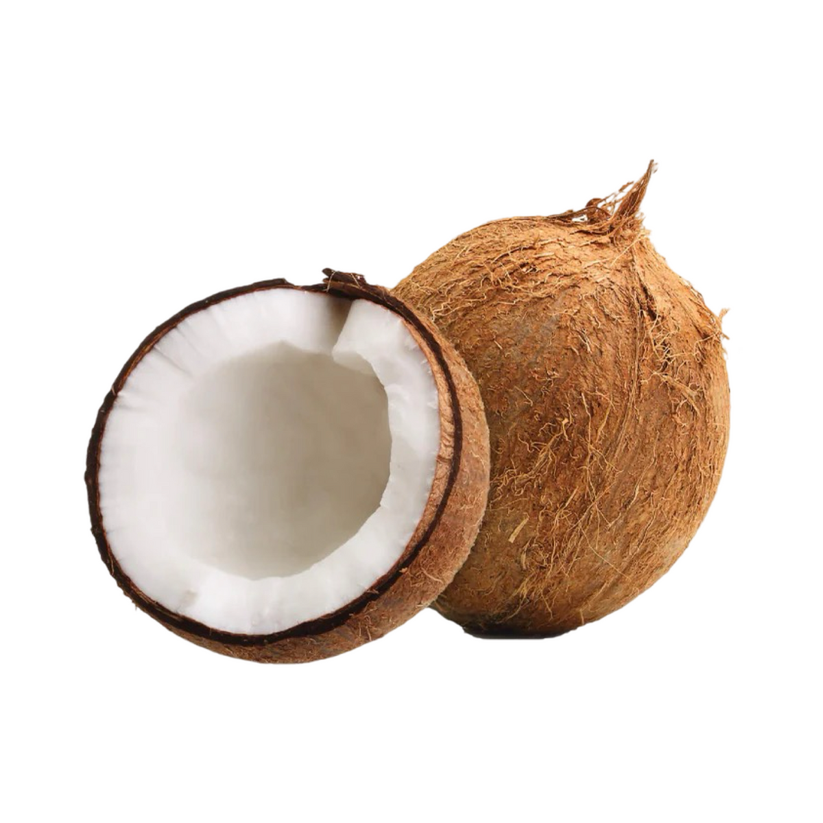 Cwc Coconut Skip to product information