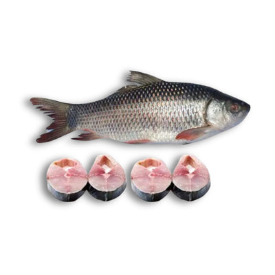 CF Rohu Burmese 4kg