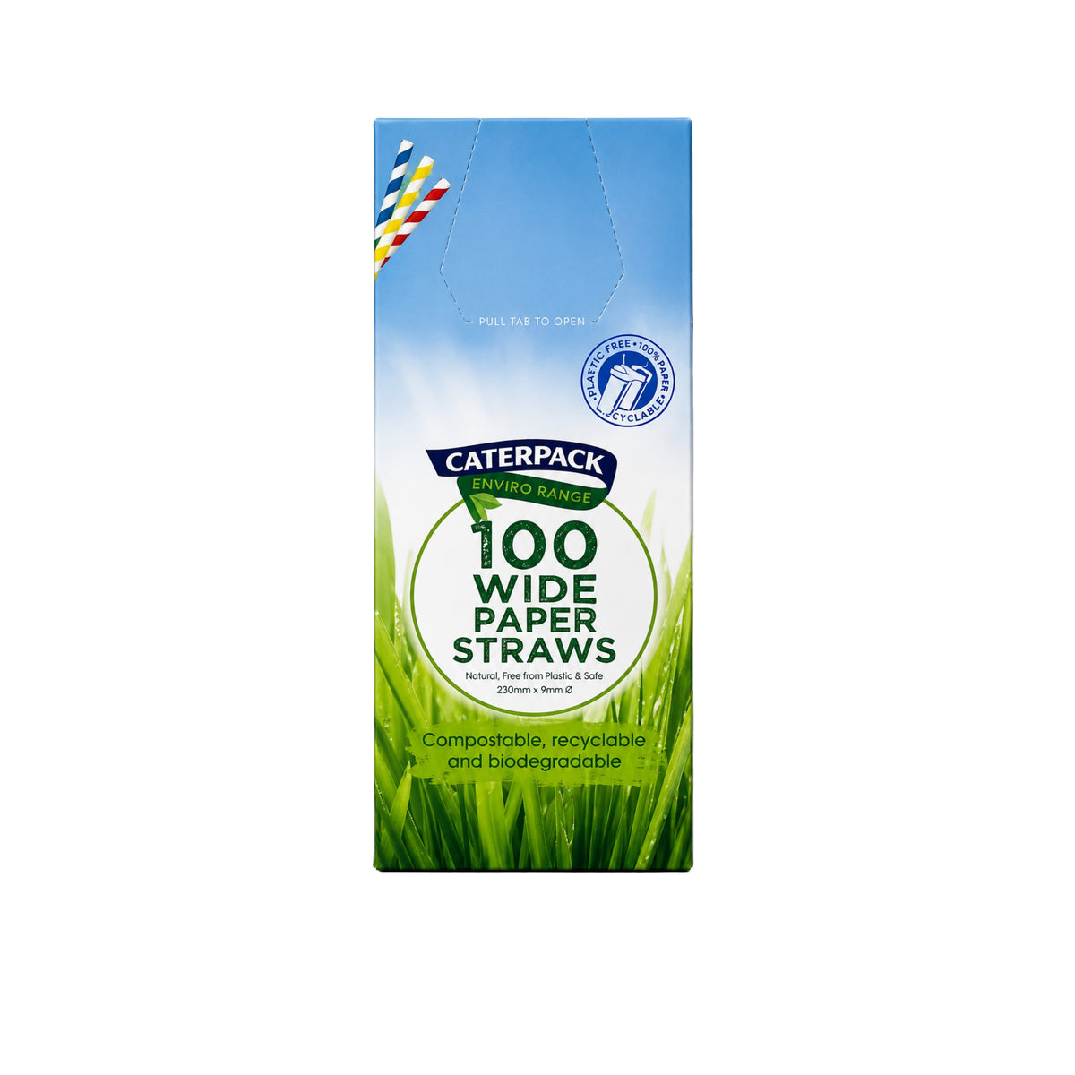 Caterpack Striped Paper Straws 100s