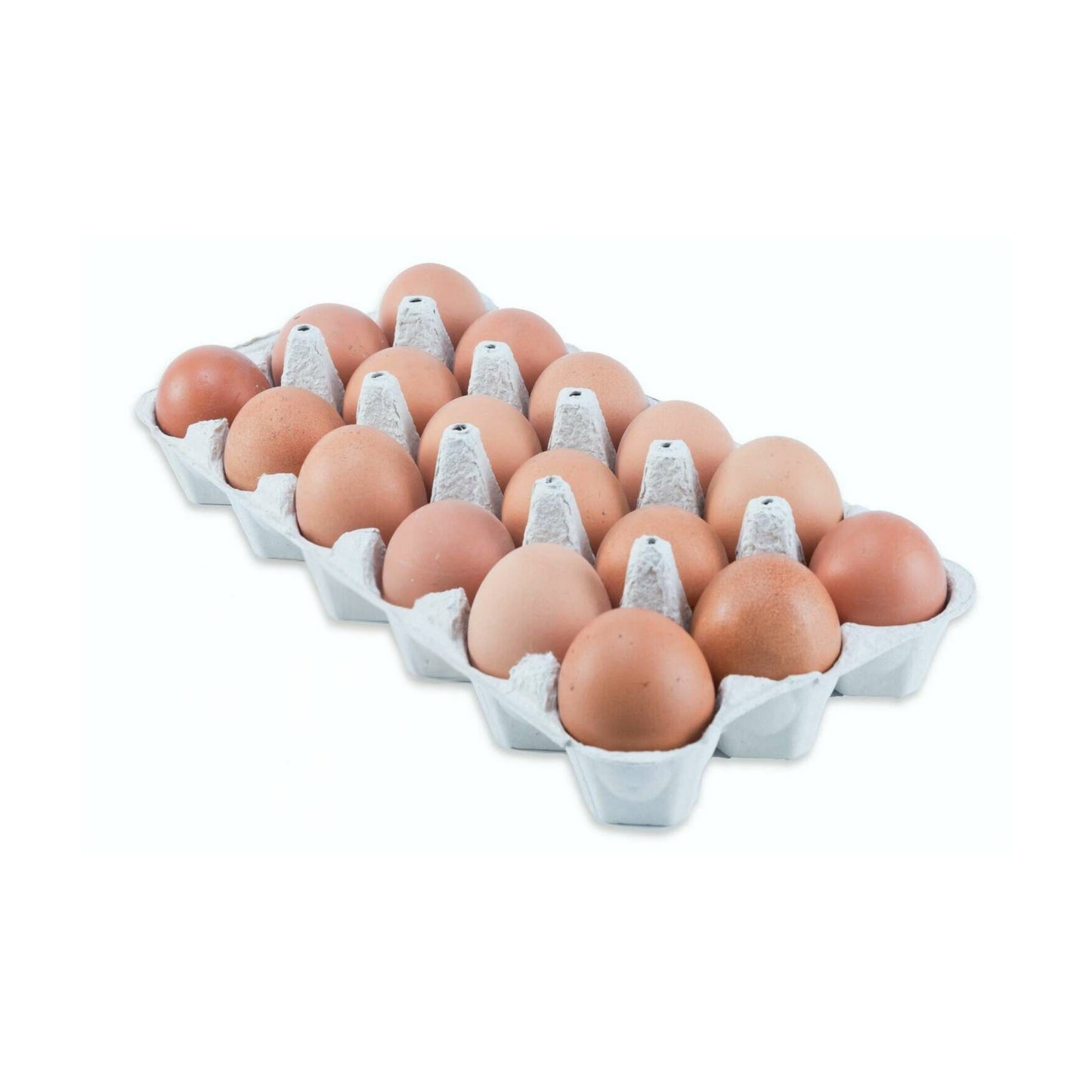 Eggs 18 pack