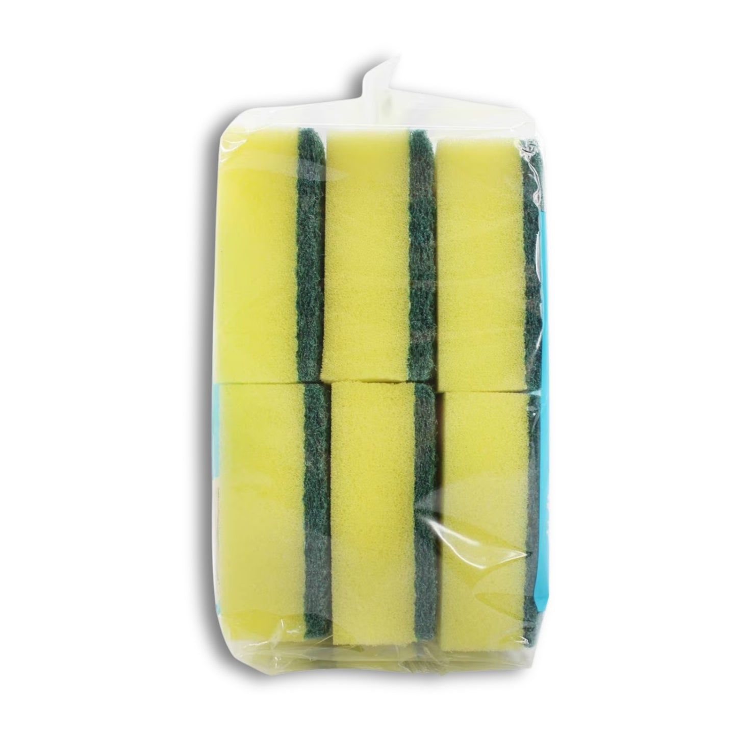 Sponge Scourer 6s